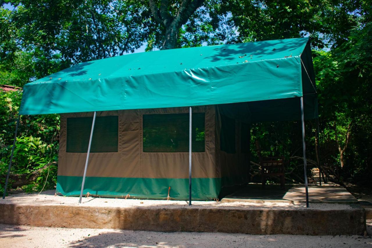 Вілла Firefly Eco Retreat Shimoni Екстер'єр фото